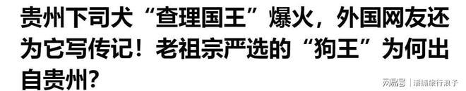 王”爆火！身价飙升至10万美元狗主人被扒PG电子麻将胡了模拟器贵州下司犬“查理国(图19)