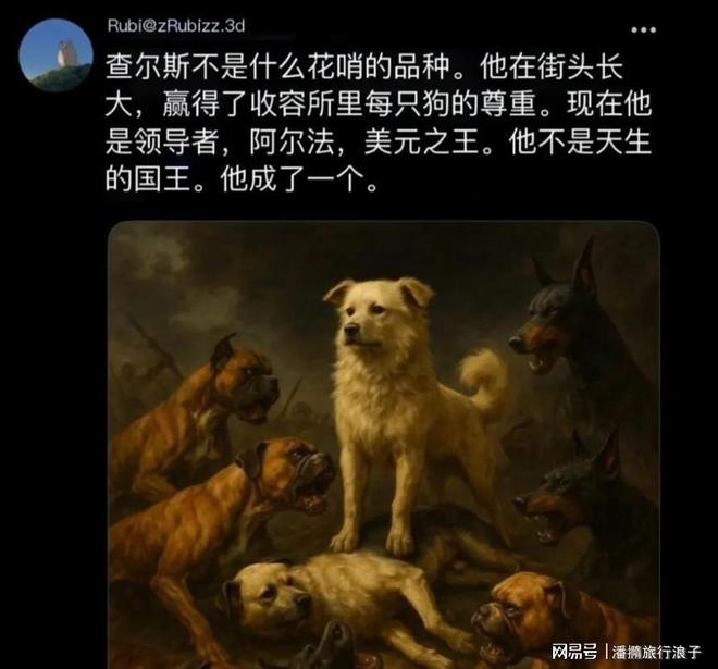 王”爆火！身价飙升至10万美元狗主人被扒PG电子麻将胡了模拟器贵州下司犬“查理国(图18)